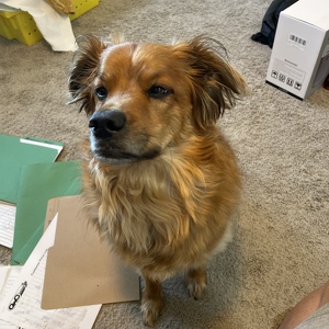 Fundraising Page: Helgi Skulason